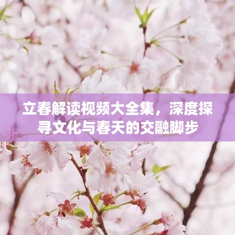 立春解读视频大全集，深度探寻文化与春天的交融脚步