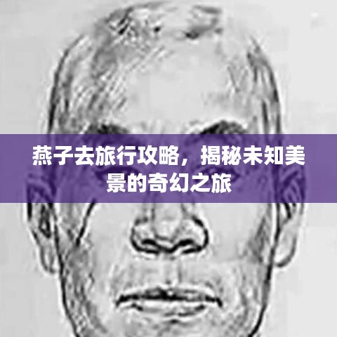 燕子去旅行攻略，揭秘未知美景的奇幻之旅