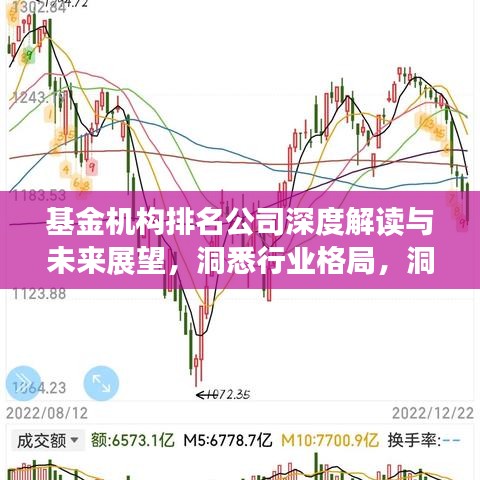 基金机构排名公司深度解读与未来展望，洞悉行业格局，洞悉排名背后的秘密