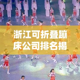 浙江可折叠蹦床公司排名揭晓，热门企业榜单大揭秘！
