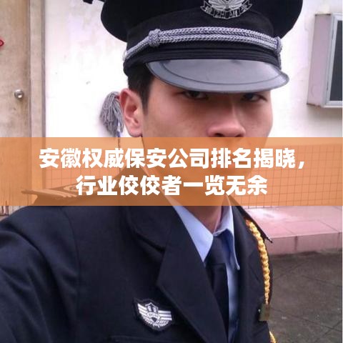 安徽权威保安公司排名揭晓，行业佼佼者一览无余