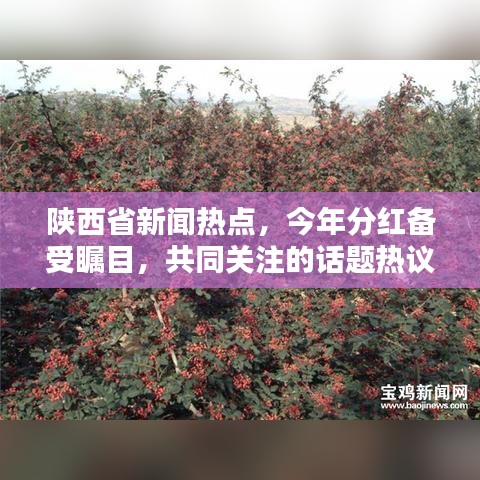 陕西省新闻热点，今年分红备受瞩目，共同关注的话题热议不止