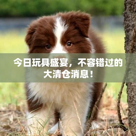 今日玩具盛宴，不容错过的大清仓消息！