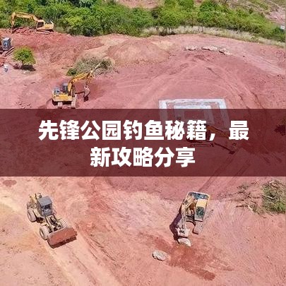 先锋公园钓鱼秘籍，最新攻略分享