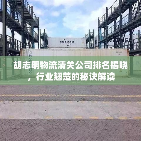 胡志明物流清关公司排名揭晓，行业翘楚的秘诀解读