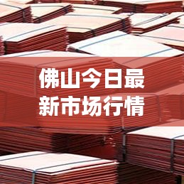 佛山今日最新市场行情，价格走势揭秘，市场影响因素深度剖析