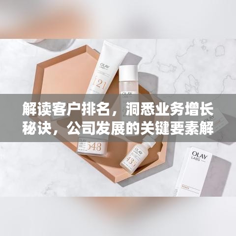 解读客户排名,洞悉业务增长秘诀,公司发展的关键要素解析