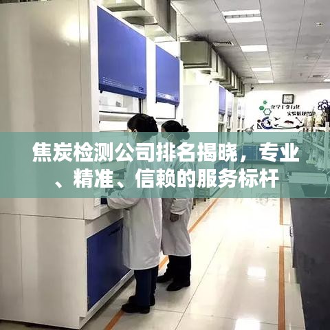 焦炭检测公司排名揭晓,专业、精准、信赖的服务标杆