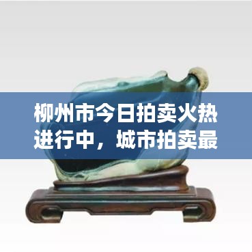 柳州市今日拍卖火热进行中，城市拍卖最新动态抢先看！