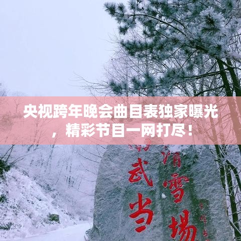 央视跨年晚会曲目表独家曝光，精彩节目一网打尽！