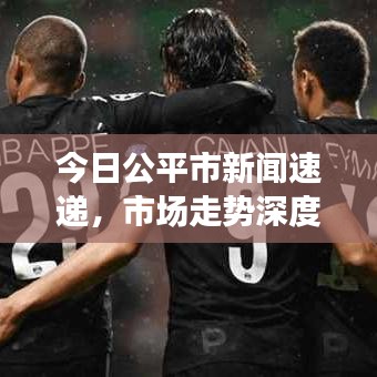 今日公平市新闻速递，市场走势深度分析与预测