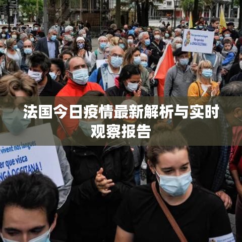 法国今日疫情最新解析与实时观察报告