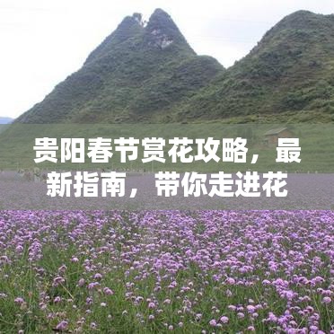 贵阳春节赏花攻略，最新指南，带你走进花的海洋世界