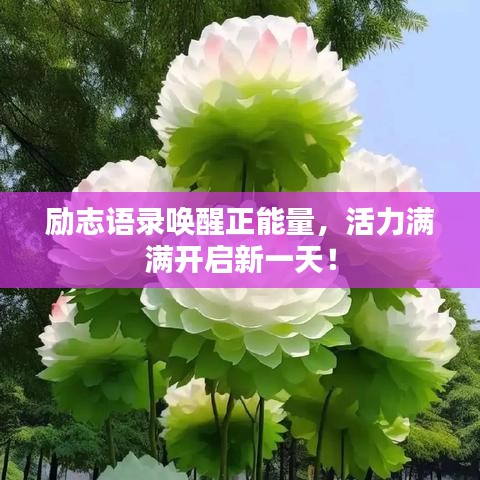 励志语录唤醒正能量，活力满满开启新一天！