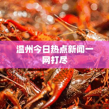 温州今日热点新闻一网打尽