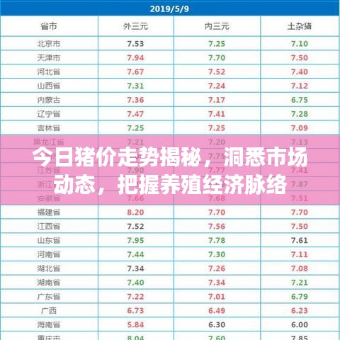 今日猪价走势揭秘,洞悉市场动态,把握养殖经济脉络