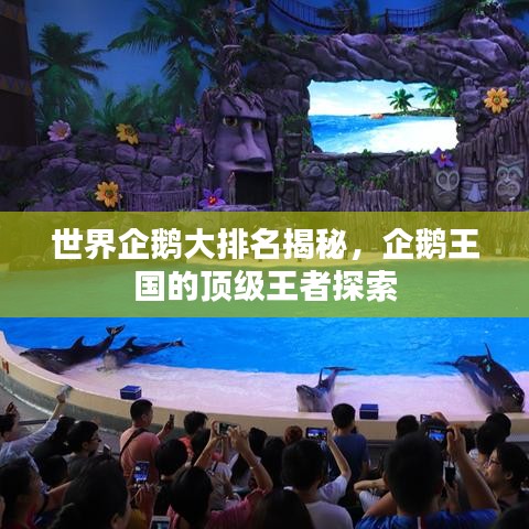 世界企鹅大排名揭秘，企鹅王国的顶级王者探索