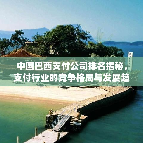 中国巴西支付公司排名揭秘,支付行业的竞争格局与发展趋势探讨
