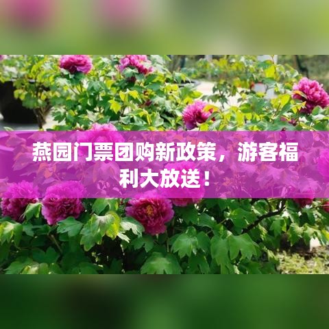 燕园门票团购新政策，游客福利大放送！