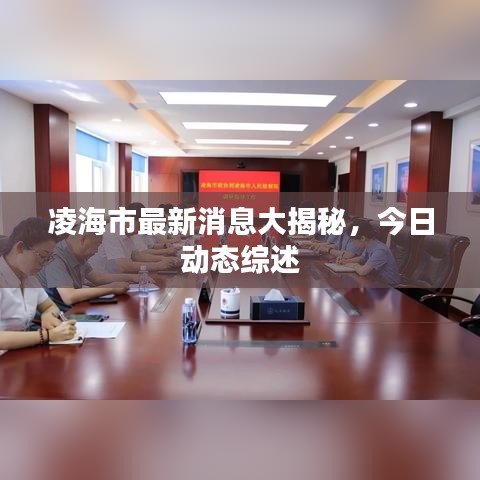 凌海市最新消息大揭秘，今日动态综述