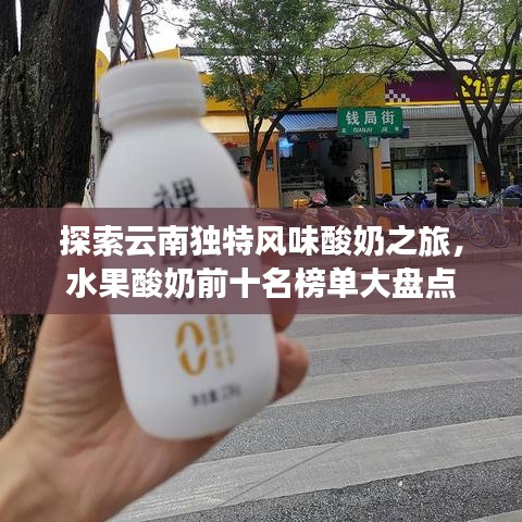 探索云南独特风味酸奶之旅，水果酸奶前十名榜单大盘点
