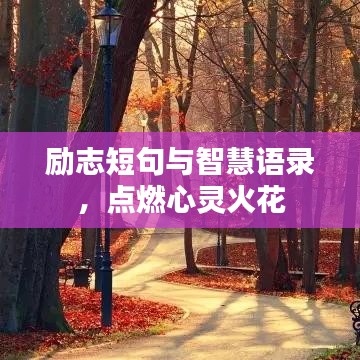 励志短句与智慧语录,点燃心灵火花