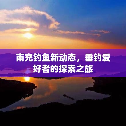 南充钓鱼新动态，垂钓爱好者的探索之旅