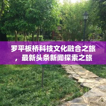 罗平板桥科技文化融合之旅，最新头条新闻探索之旅