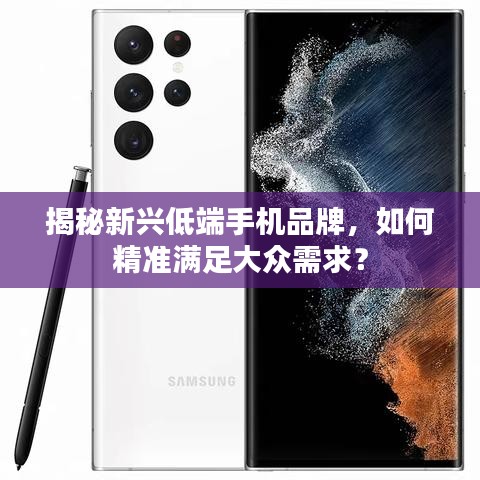 揭秘新兴低端手机品牌，如何精准满足大众需求？
