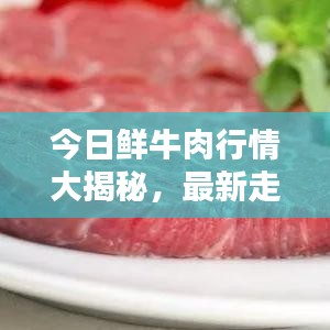 今日鲜牛肉行情大揭秘，最新走势分析报告
