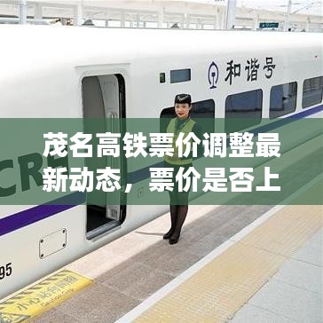 茂名高铁票价调整最新动态,票价是否上涨?