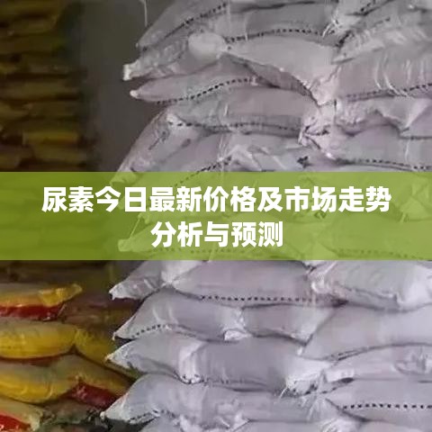 箭拔弩张 第7页