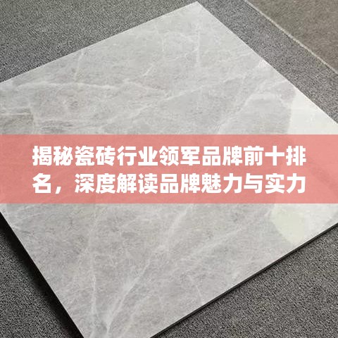 鸿飞雪爪 第6页