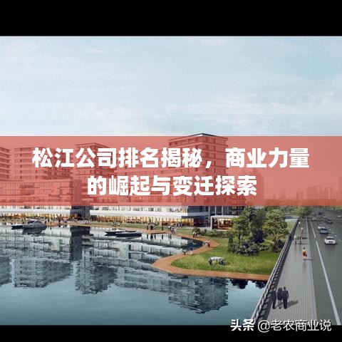 松江公司排名揭秘，商业力量的崛起与变迁探索
