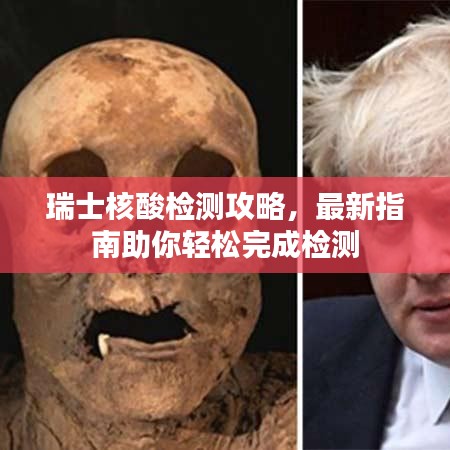 瑞士核酸检测攻略,最新指南助你轻松完成检测