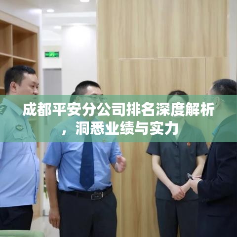 成都平安分公司排名深度解析，洞悉业绩与实力