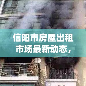 信阳市房屋出租市场最新动态，新闻头条揭秘市场变化