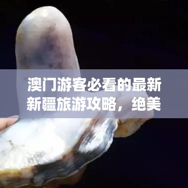 澳门游客必看的最新新疆旅游攻略，绝美路线探索新疆风采