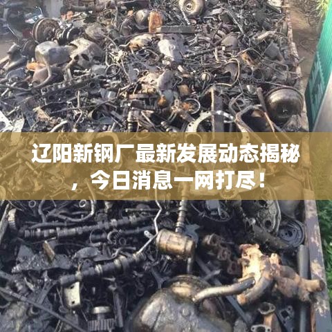 辽阳新钢厂最新发展动态揭秘，今日消息一网打尽！