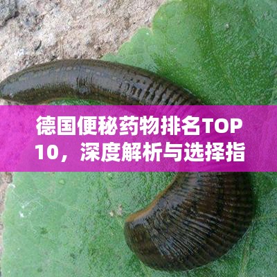 德国便秘药物排名TOP10，深度解析与选择指南