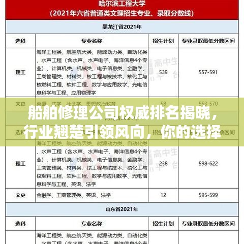 船舶修理公司权威排名揭晓，行业翘楚引领风向，你的选择在哪里？