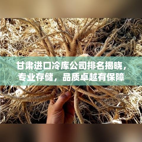 甘肃进口冷库公司排名揭晓,专业存储,品质卓越有保障