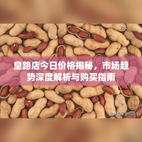 皇路店今日价格揭秘，市场趋势深度解析与购买指南