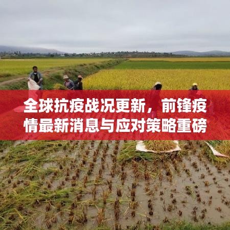 全球抗疫战况更新，前锋疫情最新消息与应对策略重磅揭秘