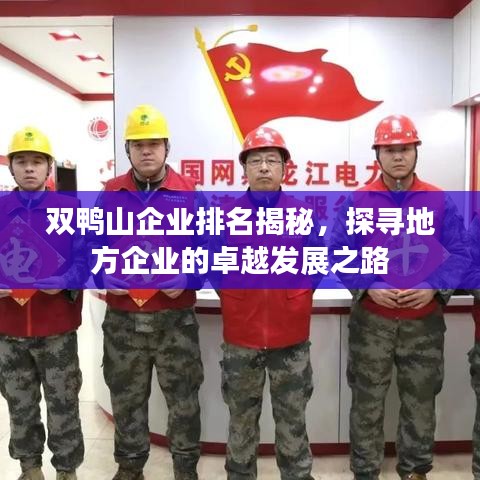 双鸭山企业排名揭秘,探寻地方企业的卓越发展之路