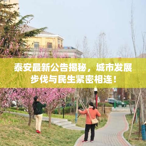 泰安最新公告揭秘，城市发展步伐与民生紧密相连！