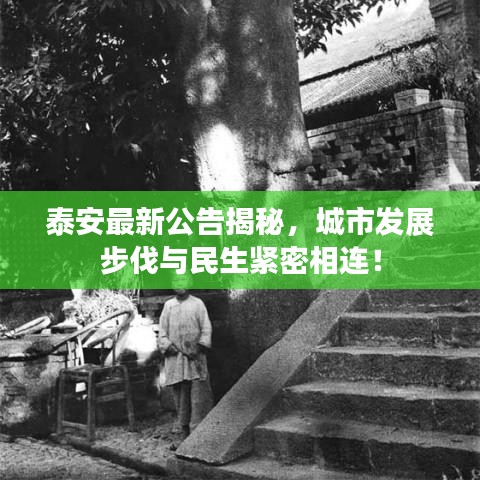 泰安最新公告揭秘,城市发展步伐与民生紧密相连!