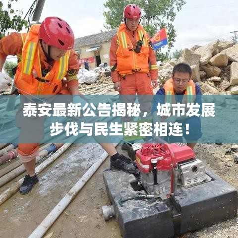 泰安最新公告揭秘,城市发展步伐与民生紧密相连!