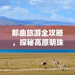 那曲旅游全攻略，探秘高原明珠的绝佳行程！