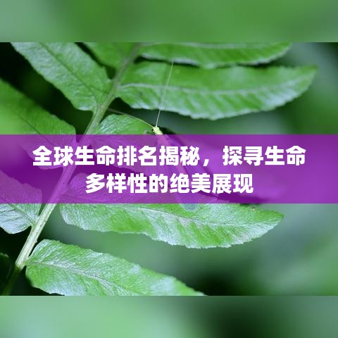 全球生命排名揭秘,探寻生命多样性的绝美展现